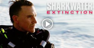 Rob Stewart Sharkwater: Extinction