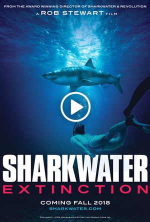 Sharkwater Extinction first peek
