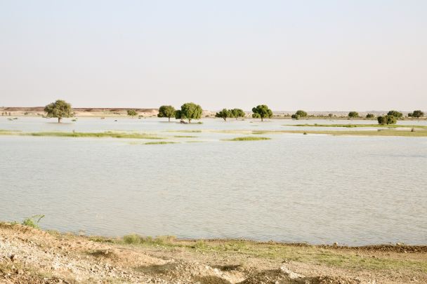 A still from the film Radiant Raindrops of Rajasthan