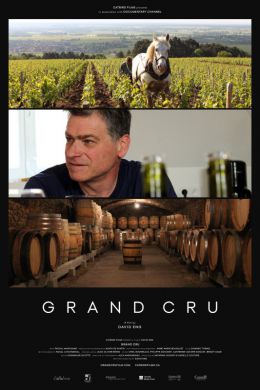 "Grand Cru" by David Eng (2017)