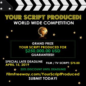 Your%20script%20produced.%20DIGITAL%20AD.jpg