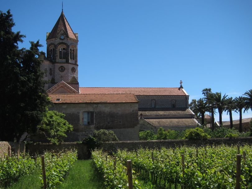 Blog image