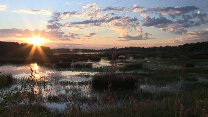 Blog image