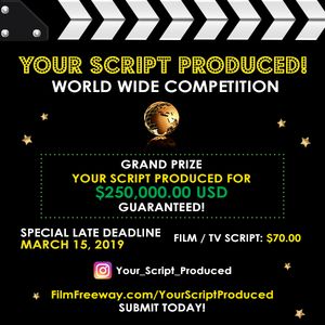 Your%20script%20produced.%20DIGITAL%20AD.jpg