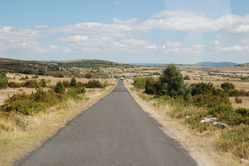 Blog image