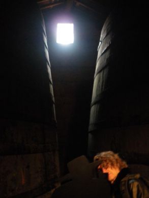 Wenders hiding behind Sandeman