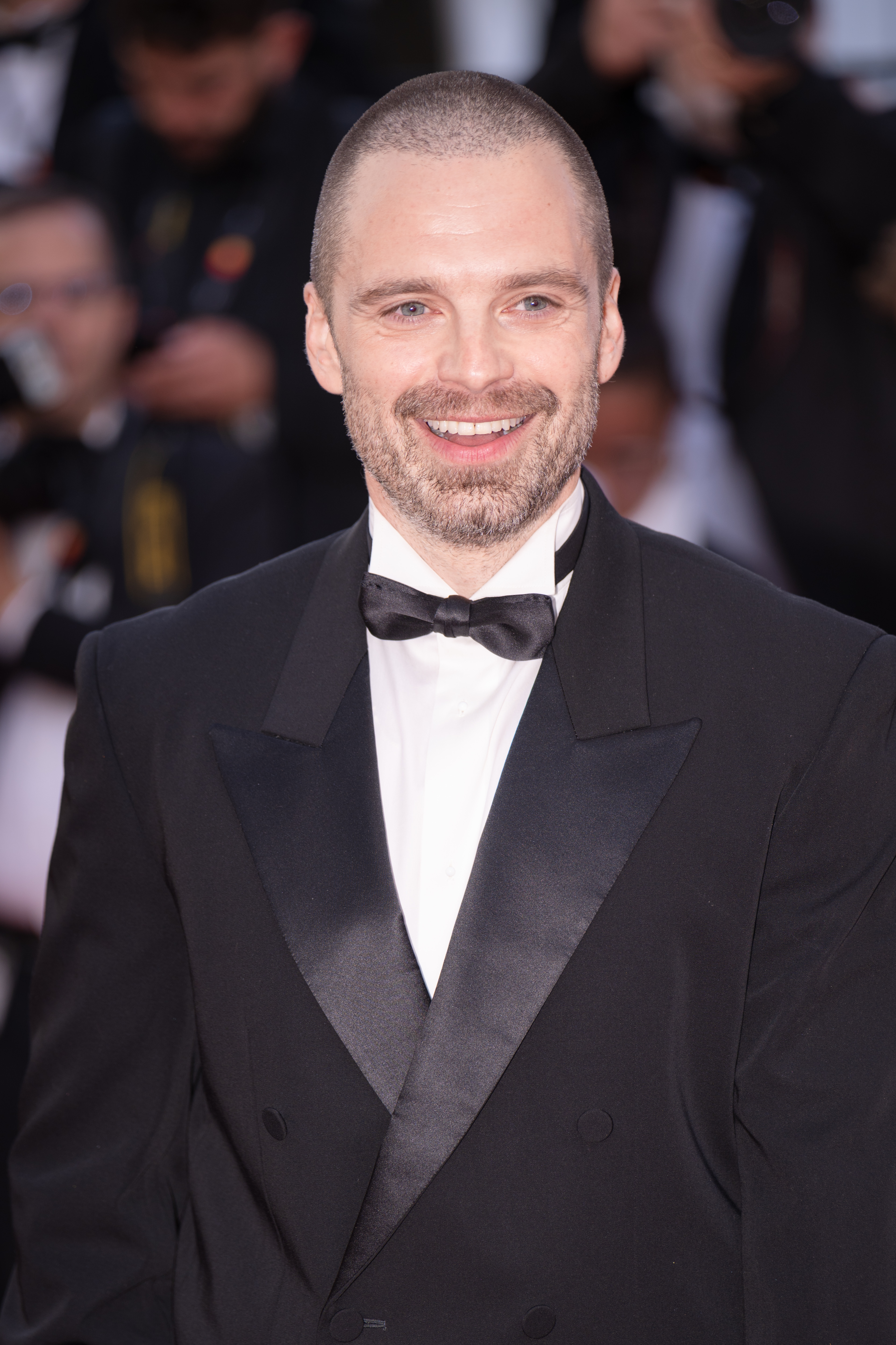 Sebastian Stan Walks the Red Carpet
