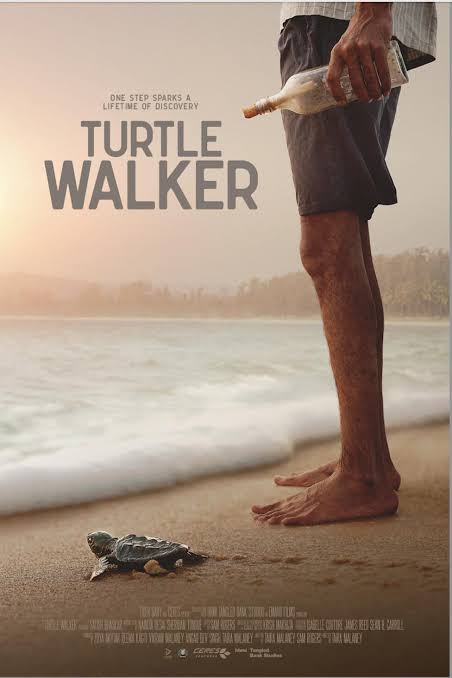 Turtle Walker, Poster