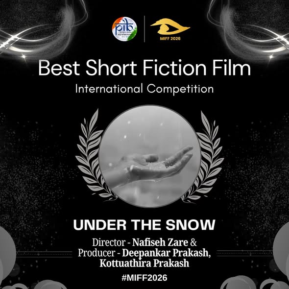 Under the Snow, Poster